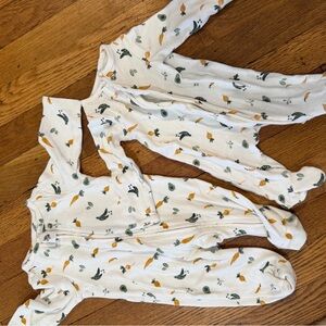 Adorable veggie Garden Baby One Piece